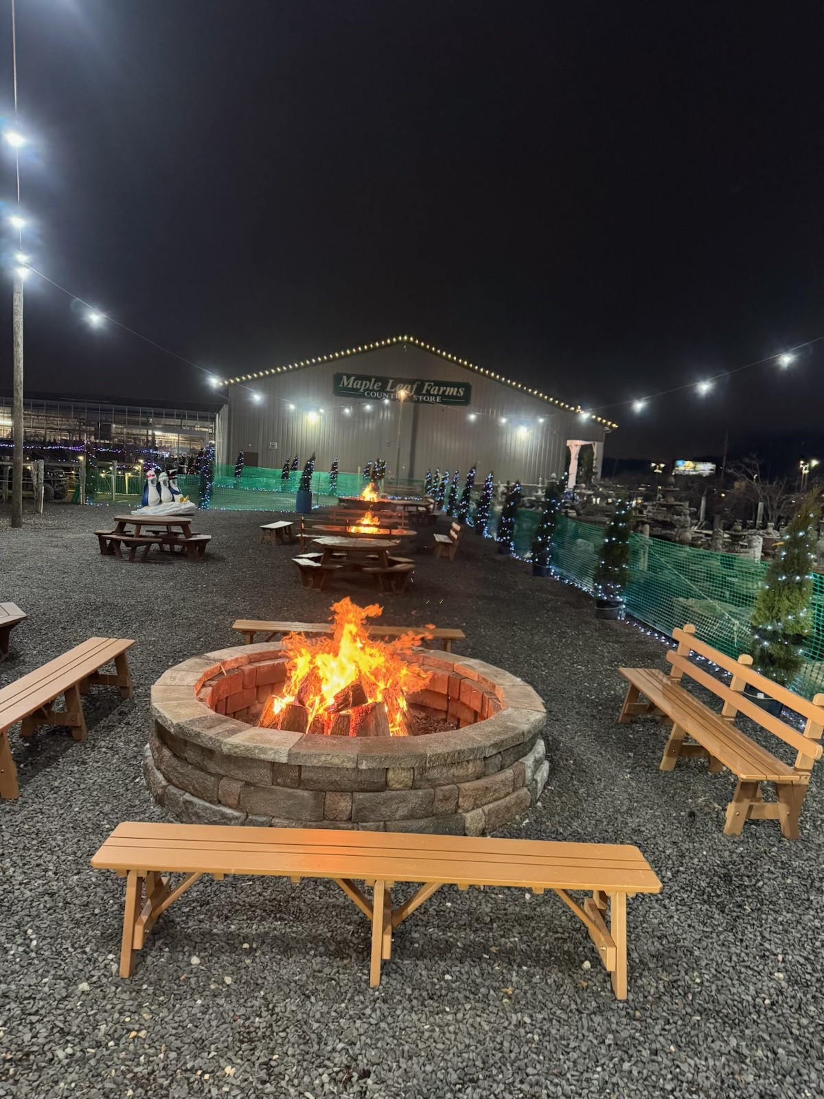 Glowing outdoor bonfire pits and wooden benches under string lights at Maple Leaf Farms at night