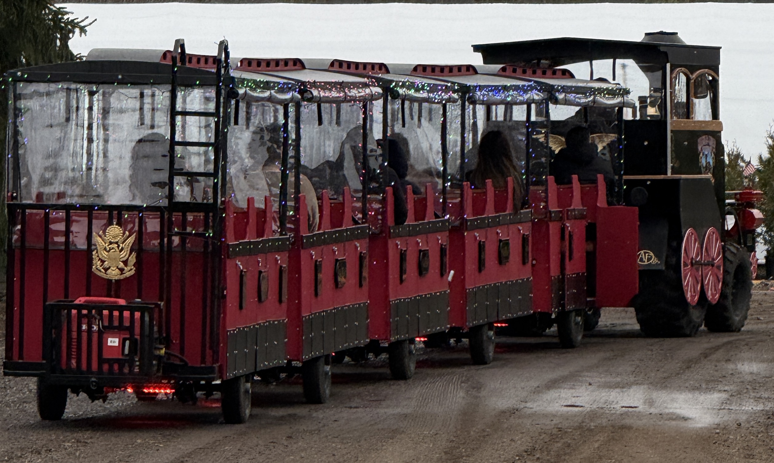 The train dressed for the holiday season