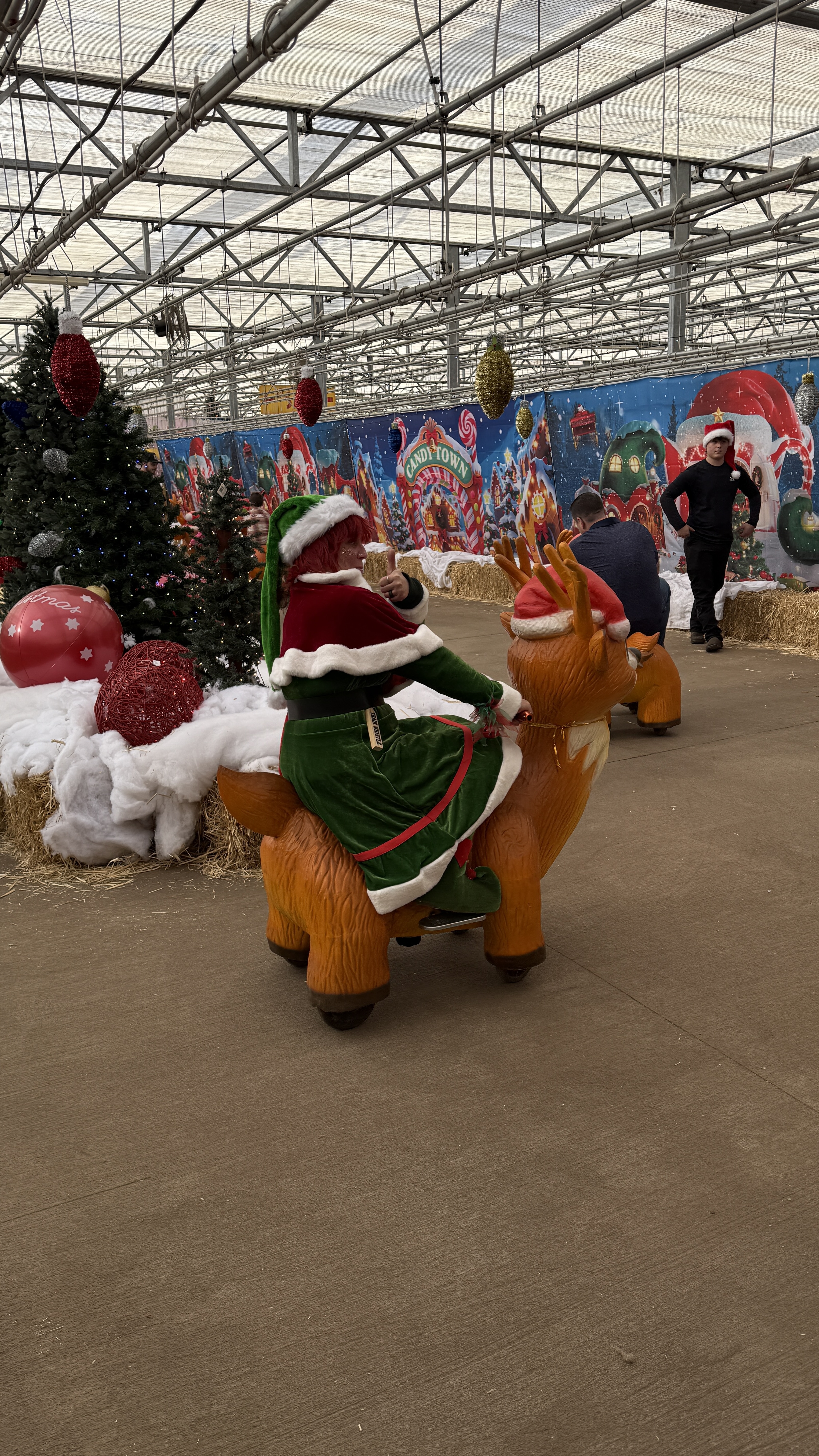 A holiday elf riding the animatronic reindeer at Maple Leaf Farms